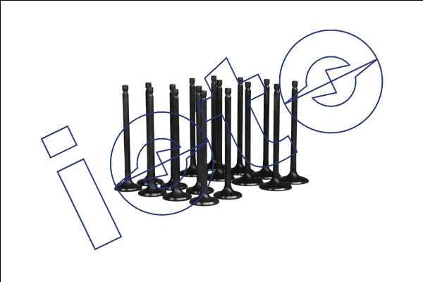 Subap Takımı 8 In + 8 Ex (Nitrasyonlu) Mitsubishi Carisma 1.8 16V Pajero Pinin 2.0 16V In (33*6*104.3) Ex (28.2*6*103.8)