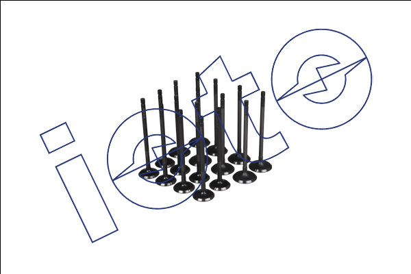 Subap Takimi 8 In + 8 Ex (Ni̇trasyonlu) Toyota Corolla Auris 1.6 16V 1Zrfe 2007-> In (32*5.5*109.35) Ex (27.5*5.5*108.25)