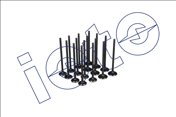 Subap Takimi 8 In + 8 Ex (Ni̇trasyonlu) Honda Civic D15B 16V In (29*5.5*115) Ex (25*5.5*118.7)